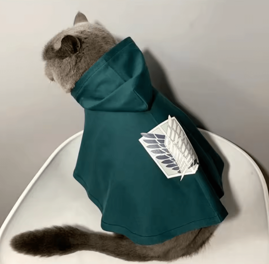 Attack On Titan Cloak - Whisker's Wardrobe