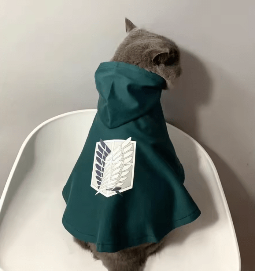 Attack On Titan Cloak - Whisker's Wardrobe