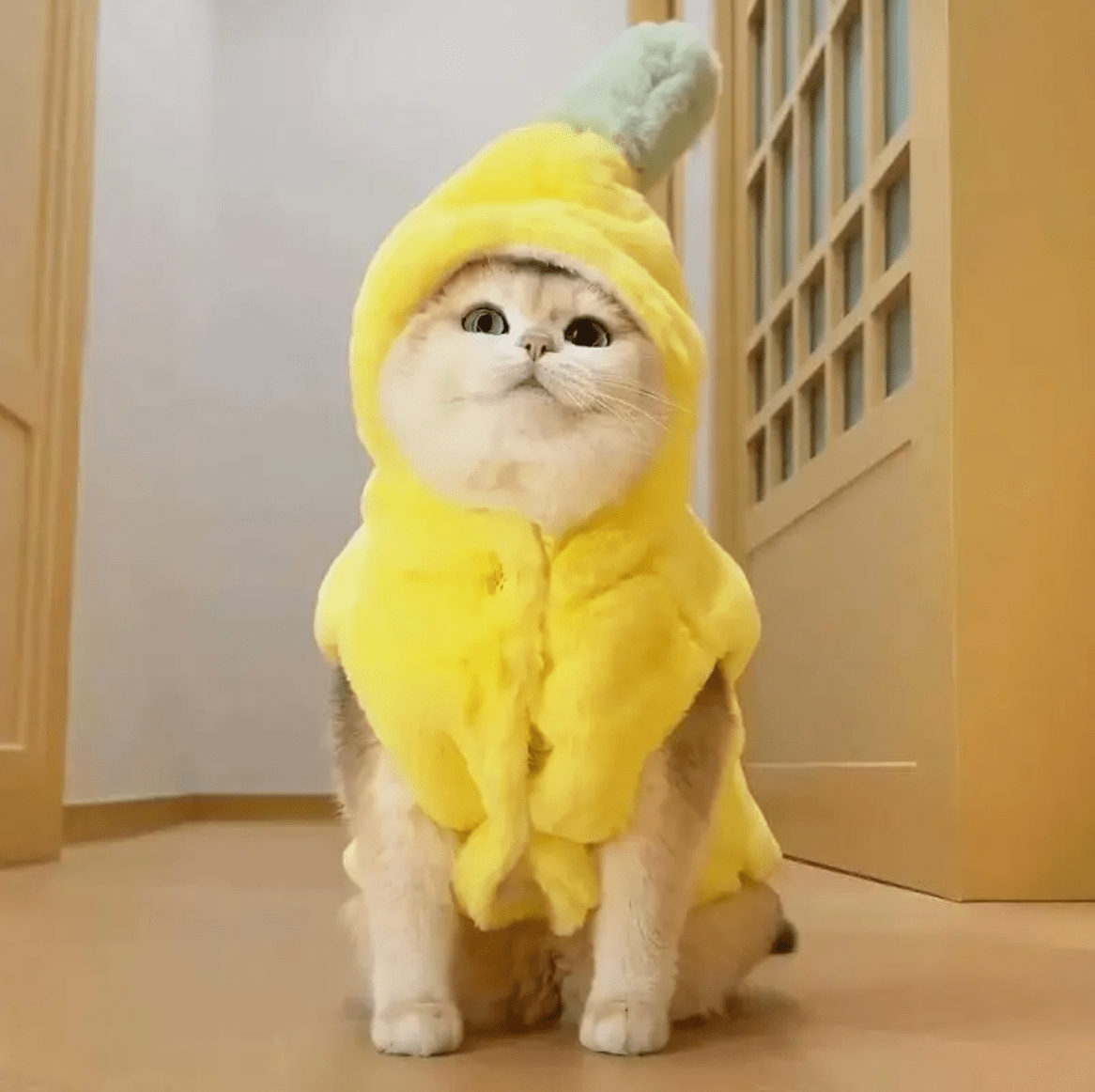 Banana Purrjama - Whisker's Wardrobe