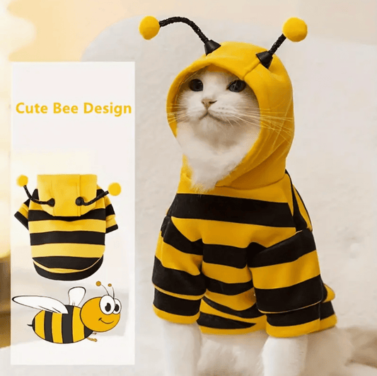 Bee - yoncé Cat Costume - Whisker's Wardrobe