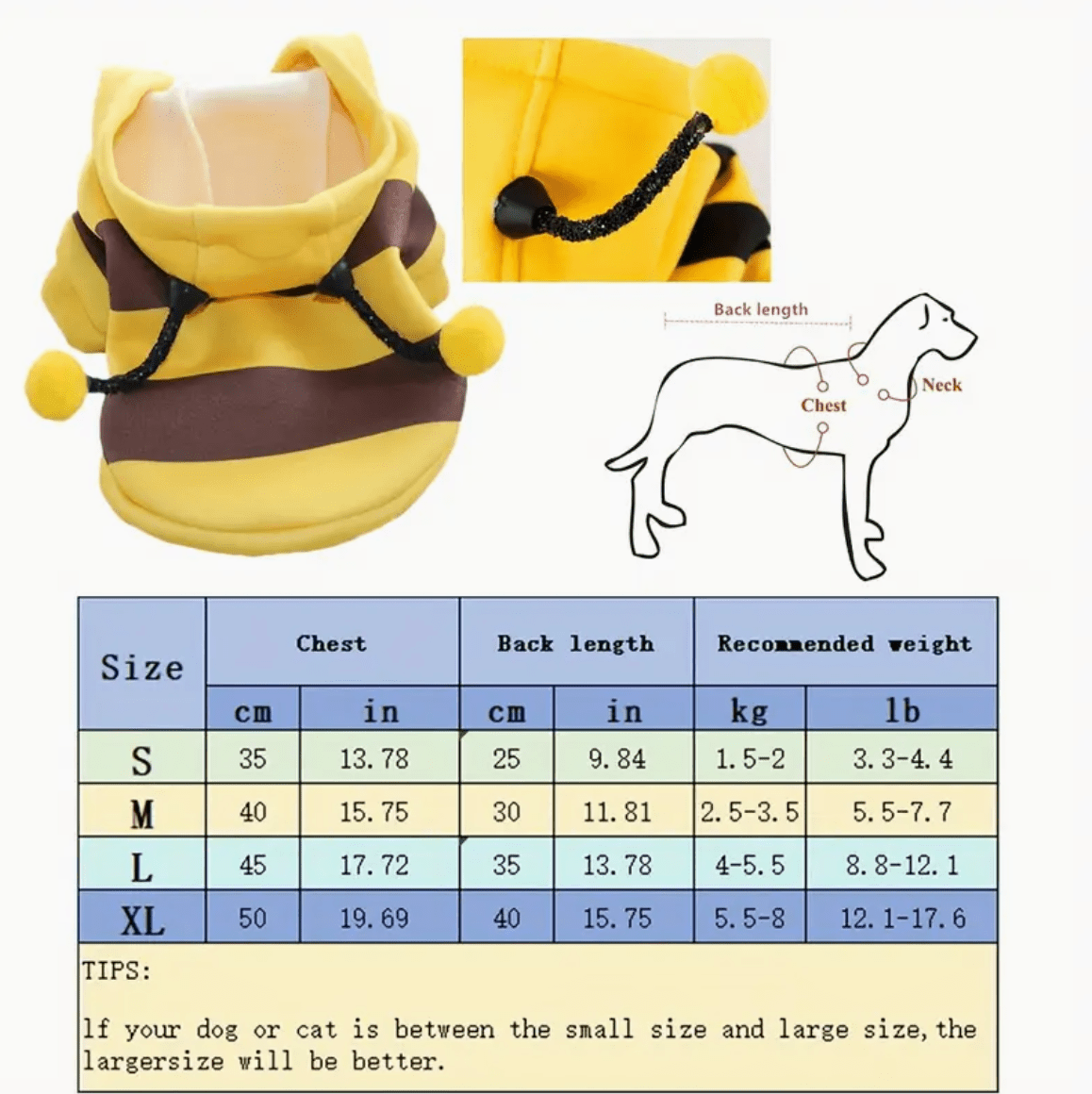 Bee - yoncé Cat Costume - Whisker's Wardrobe