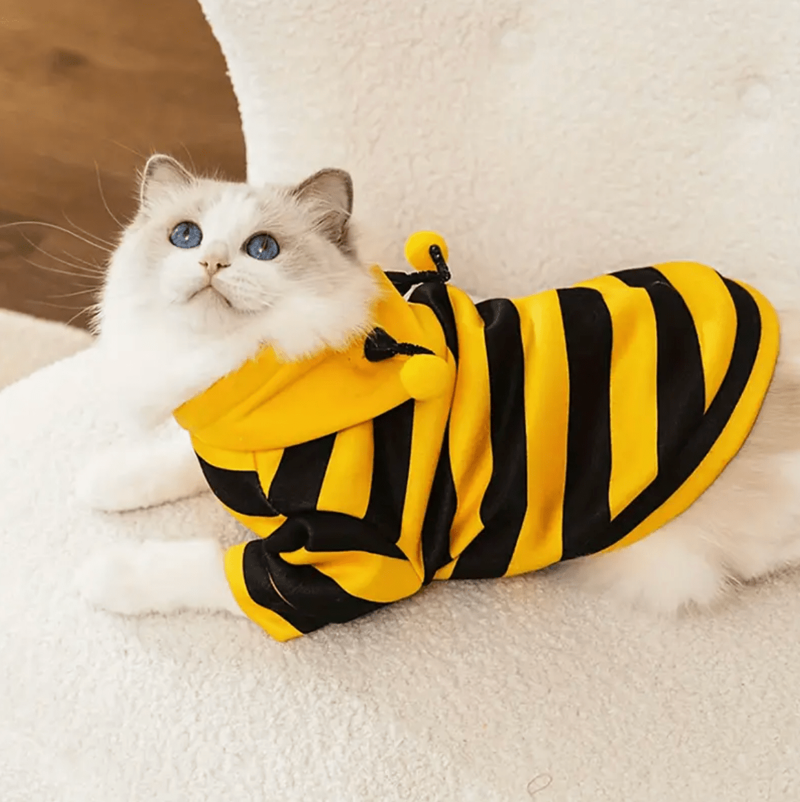 Bee - yoncé Cat Costume - Whisker's Wardrobe