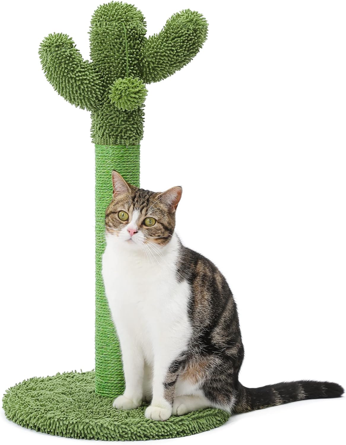 Cactus Scratching Post - Whisker's Wardrobe