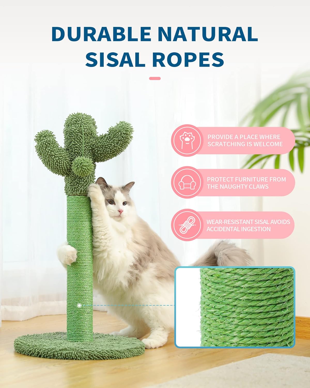 Cactus Scratching Post - Whisker's Wardrobe