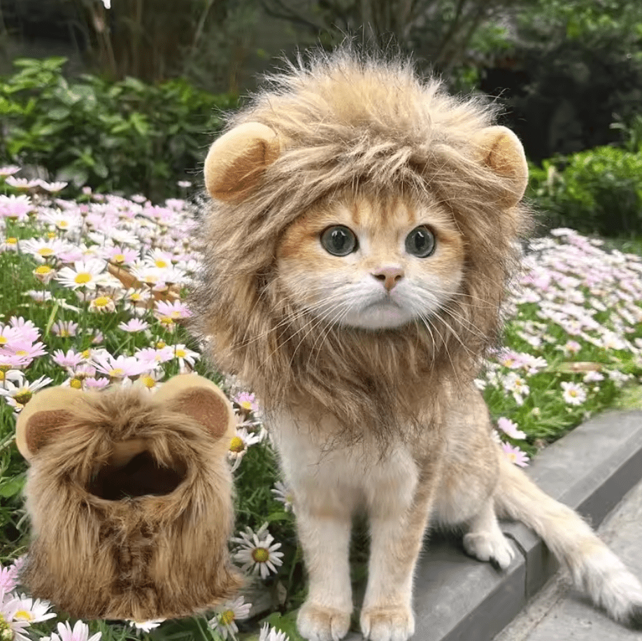 Meowfasa Lion's Mane - Whisker's Wardrobe