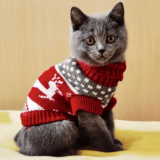 Meowgical Snuggle Sweater - Whisker's Wardrobe