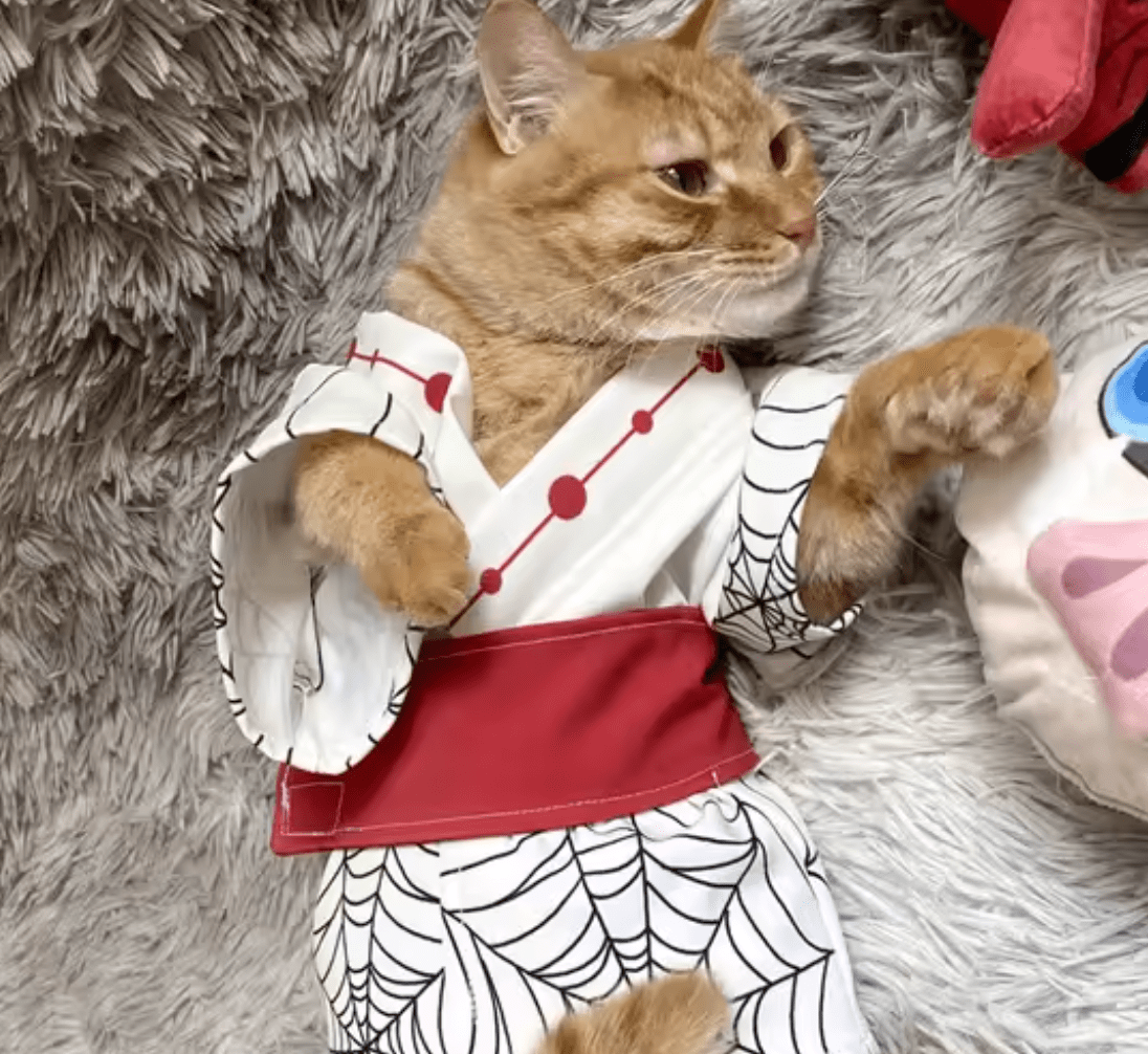 Purr - Slayer - Whisker's Wardrobe