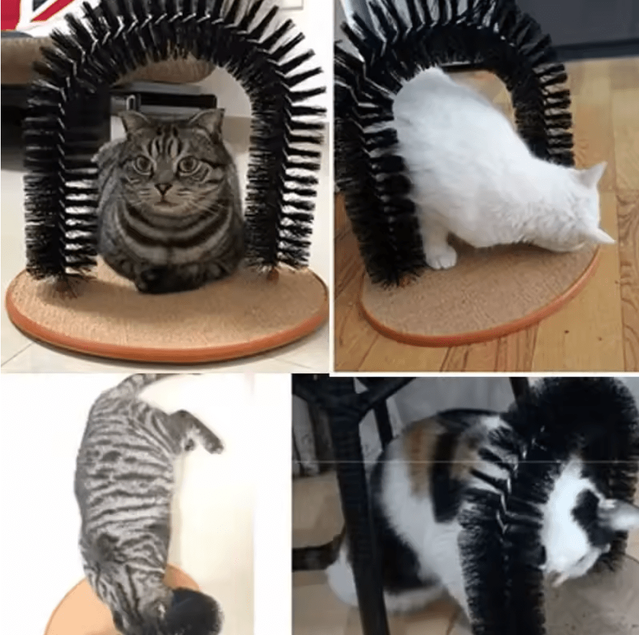 Self Grooming Arch - Whisker's Wardrobe