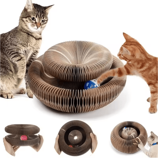 WhirlScratch Cat Toy - Whisker's Wardrobe